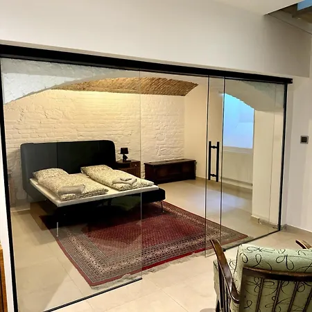 Duplex Design Flat 3 Baeder Garten 160 M2 Appartamento Praga